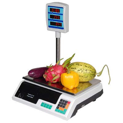 Digital Scale with Tower for Indoor or Outdoor - Precision and Reliability in Every Weight